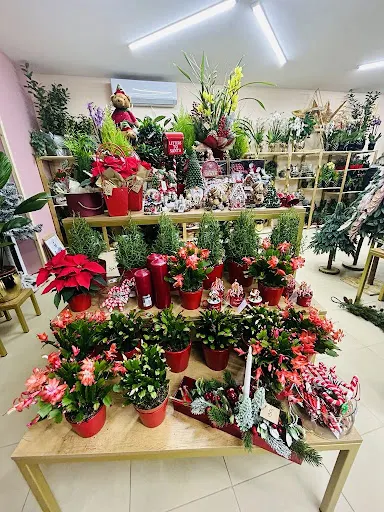 Kwiaciarnia ROZKWIT Kawciarnia